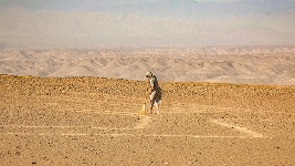 DVD Cover