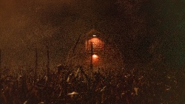 DVD Cover