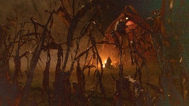 DVD Cover